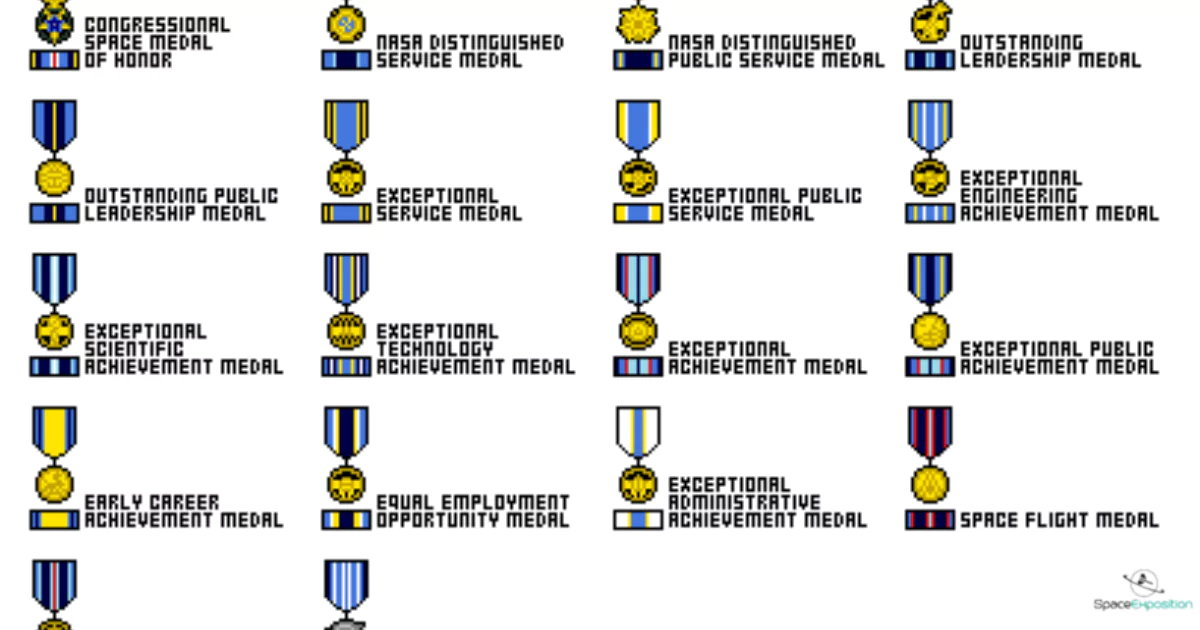 nasa space flight medal